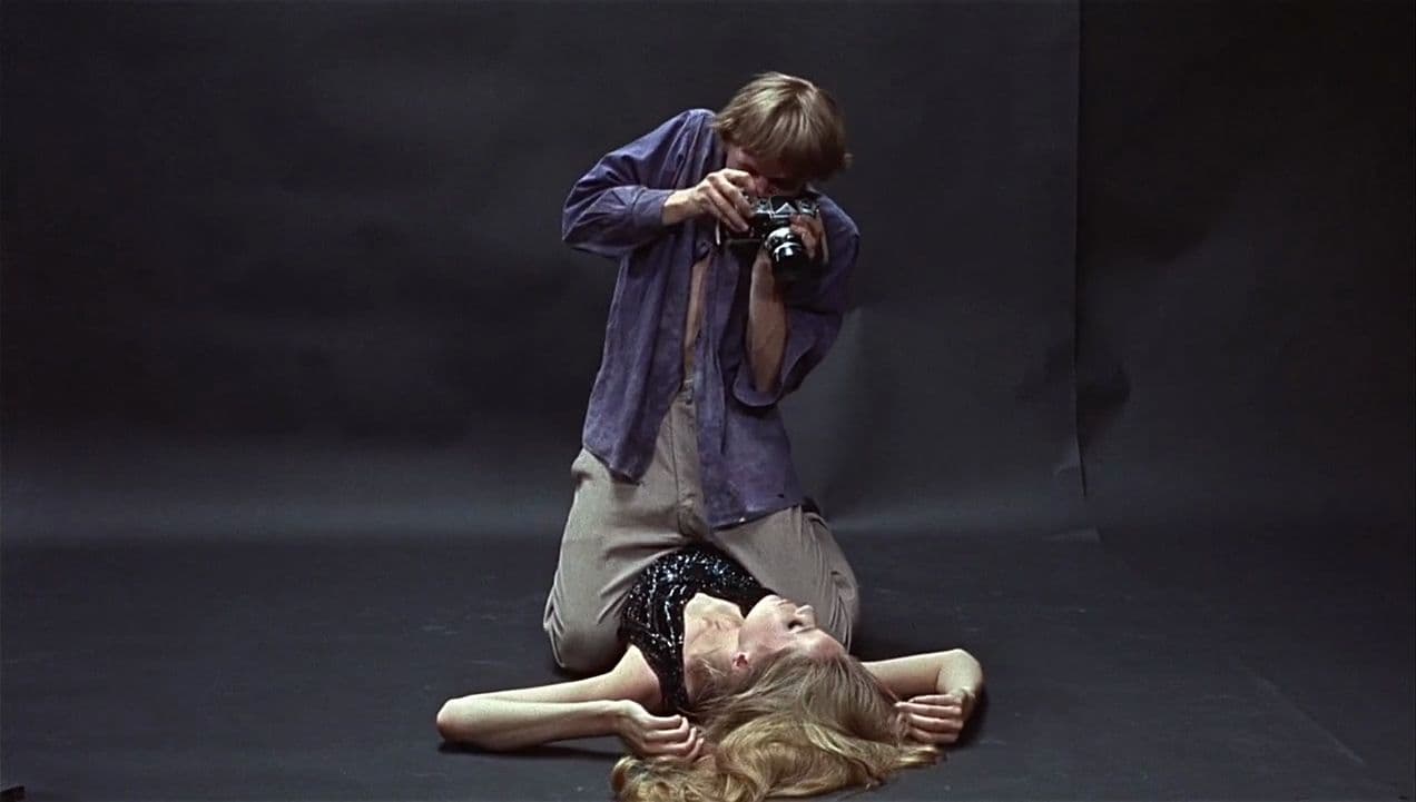 Immagine della galleria 5