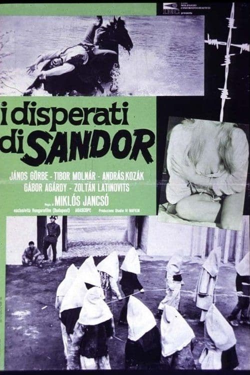 Poster for I disperati di Sandor