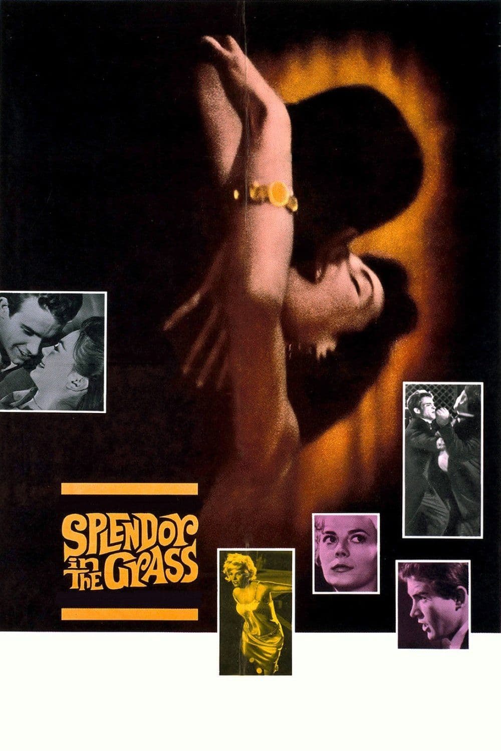 Poster for Splendor in the Grass