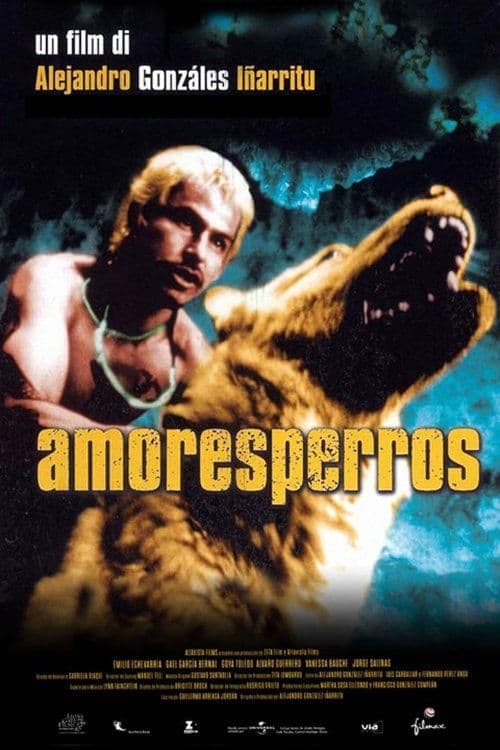 Poster for Amores Perros