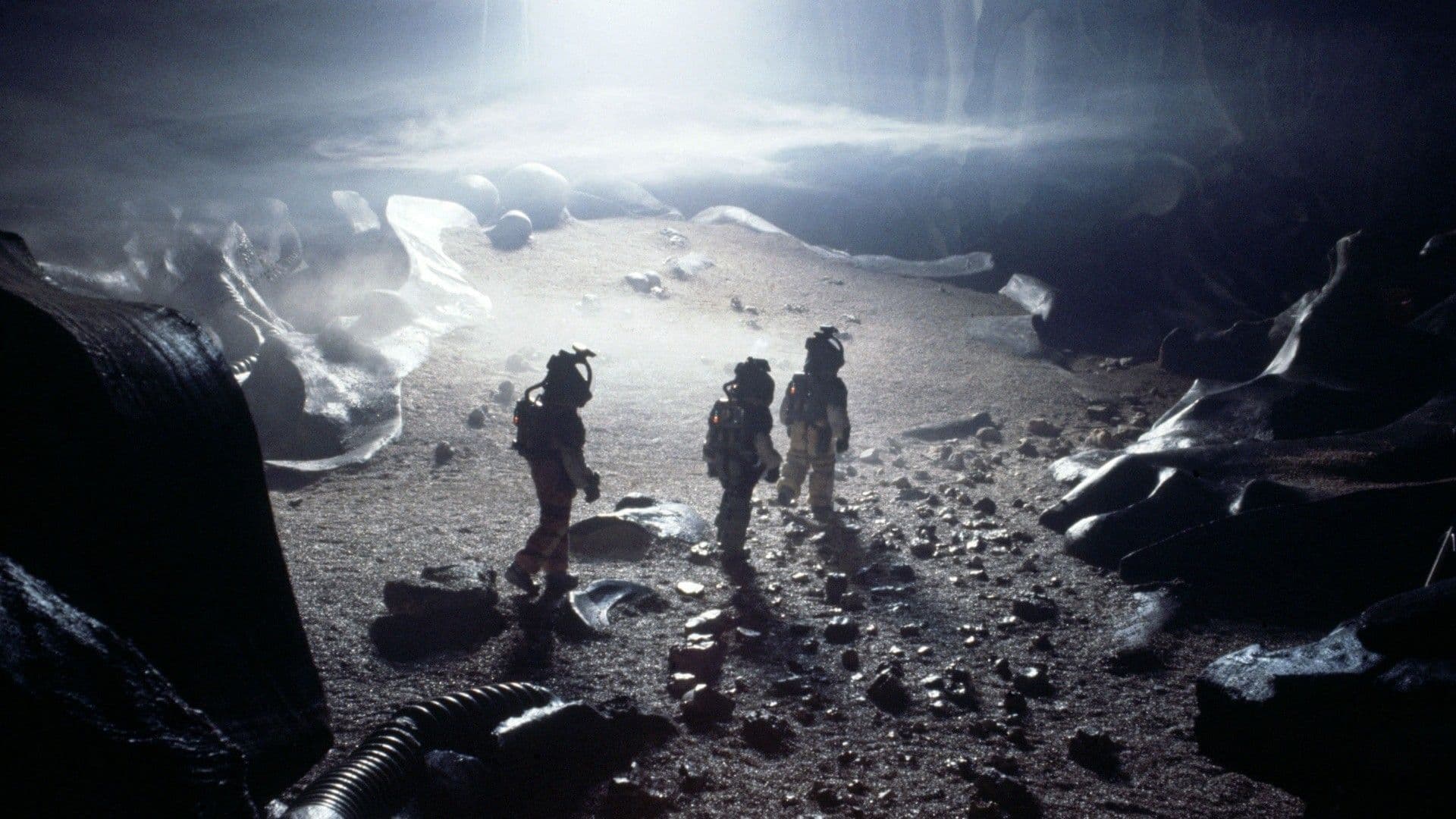Immagine della galleria 6
