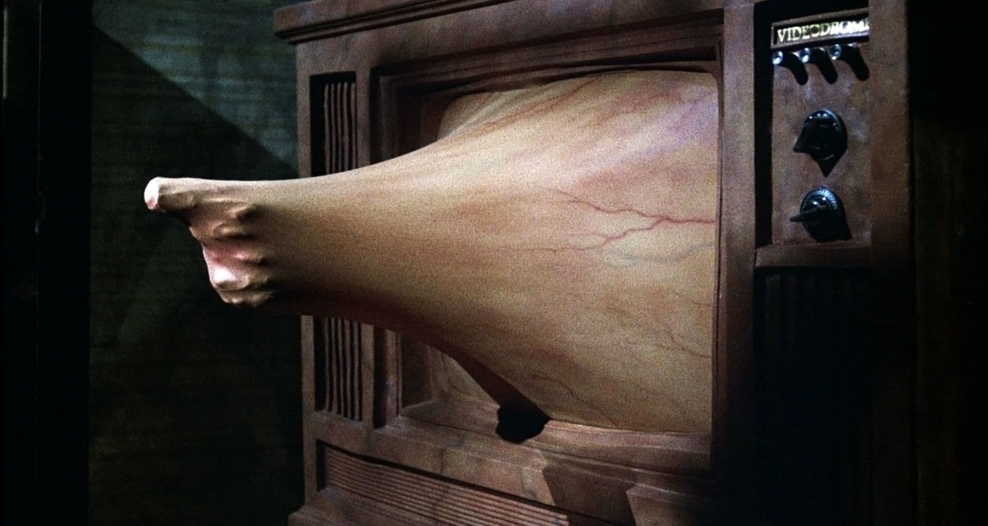 Immagine della galleria 5