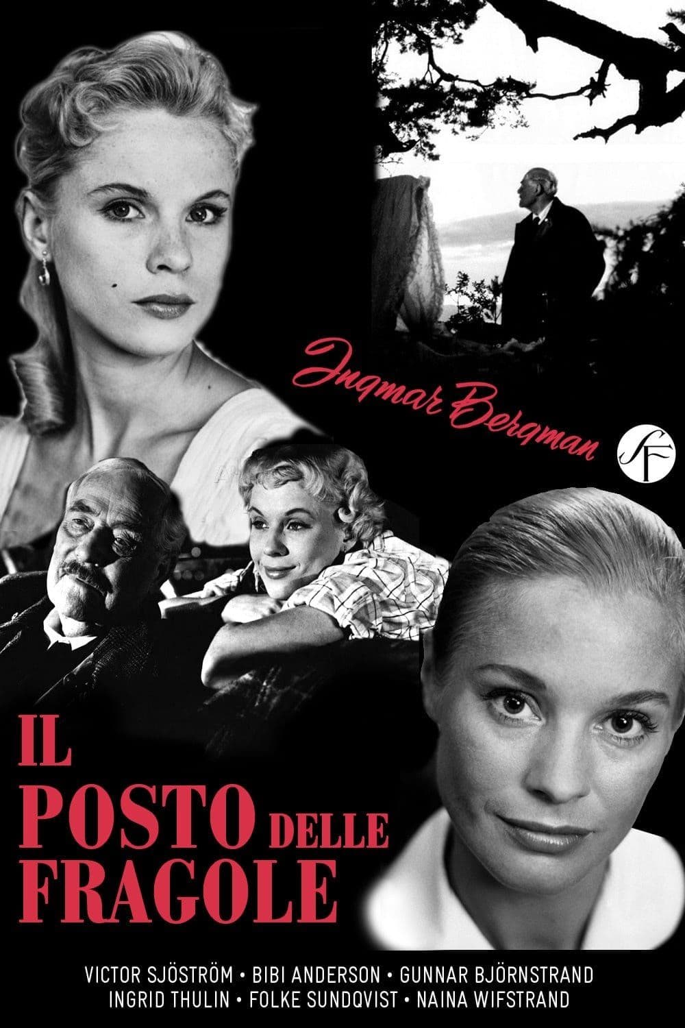 Poster for Il Posto delle Fragole