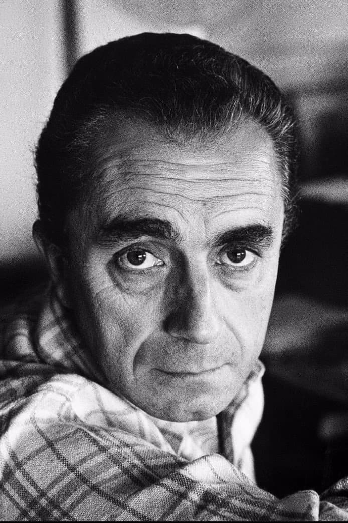 Foto di Michelangelo Antonioni