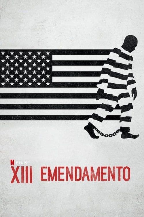 Poster for XIII emendamento
