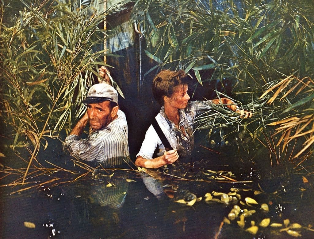 Immagine della galleria 4