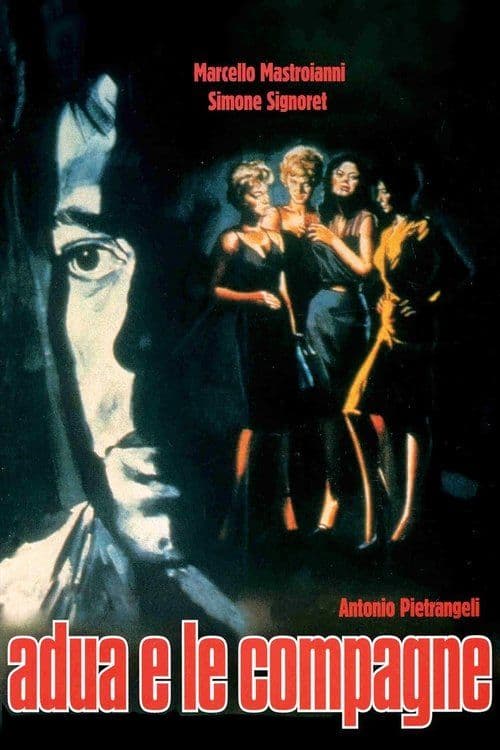 Poster for Adua e le Compagne