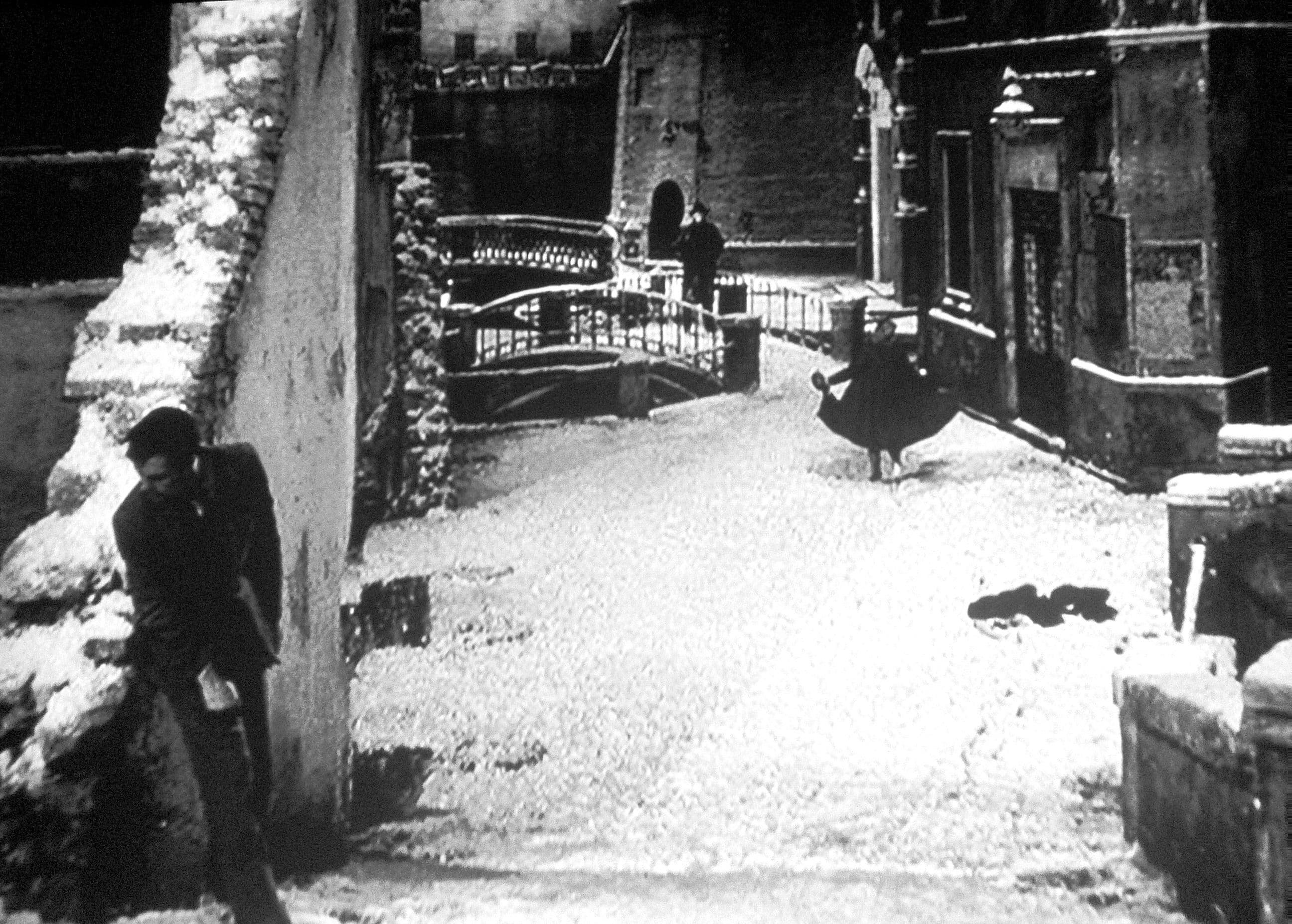 Immagine della galleria 5