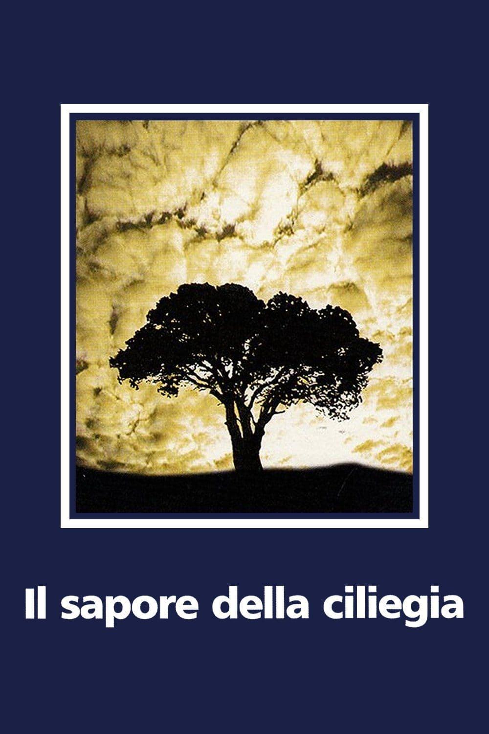 Poster for Il Sapore della Ciliegia