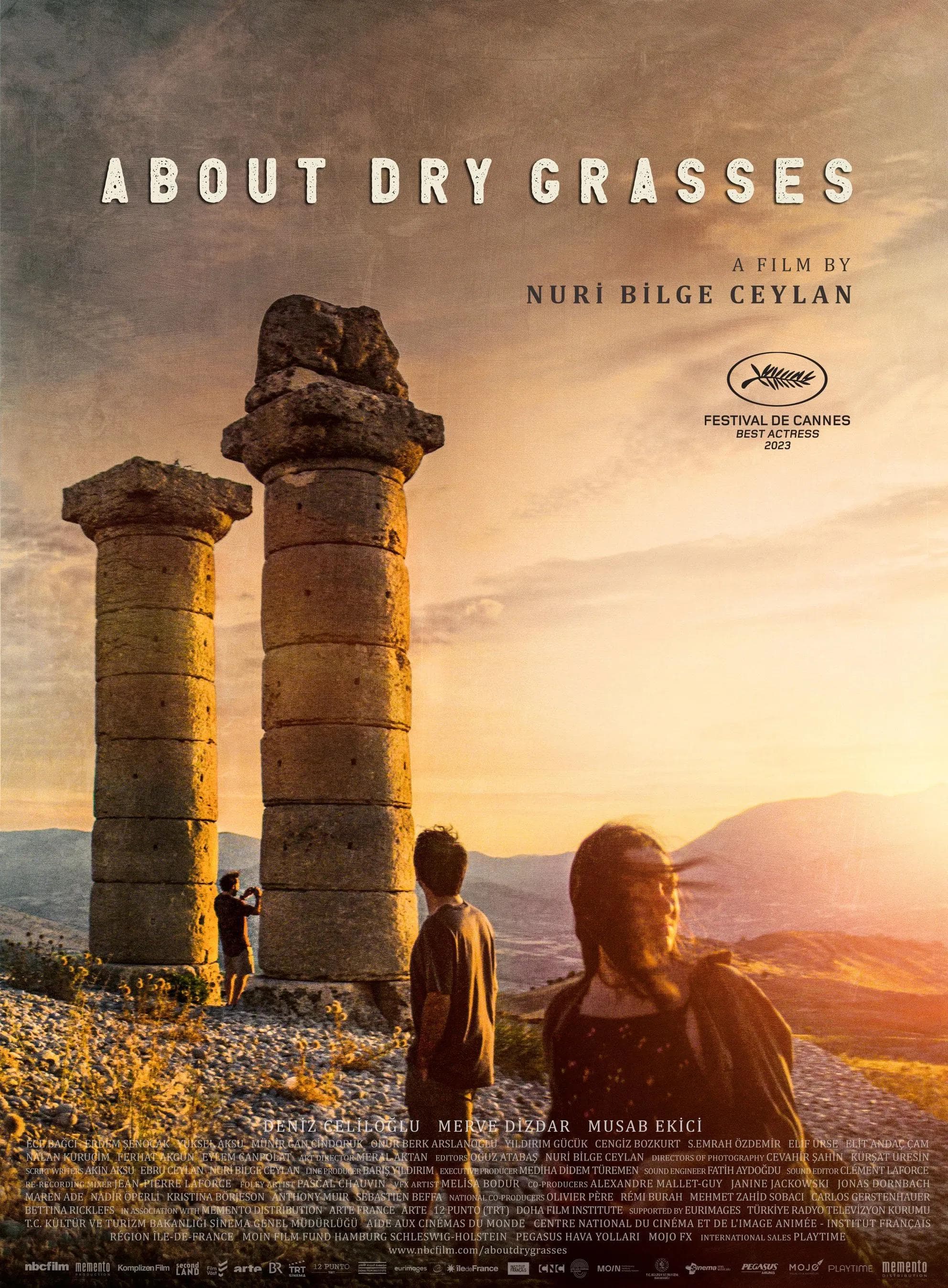 Poster for About Dry Grasses