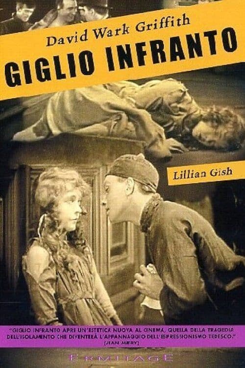 Poster for Giglio infranto