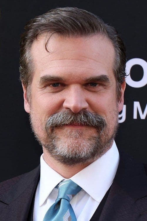Foto di David Harbour