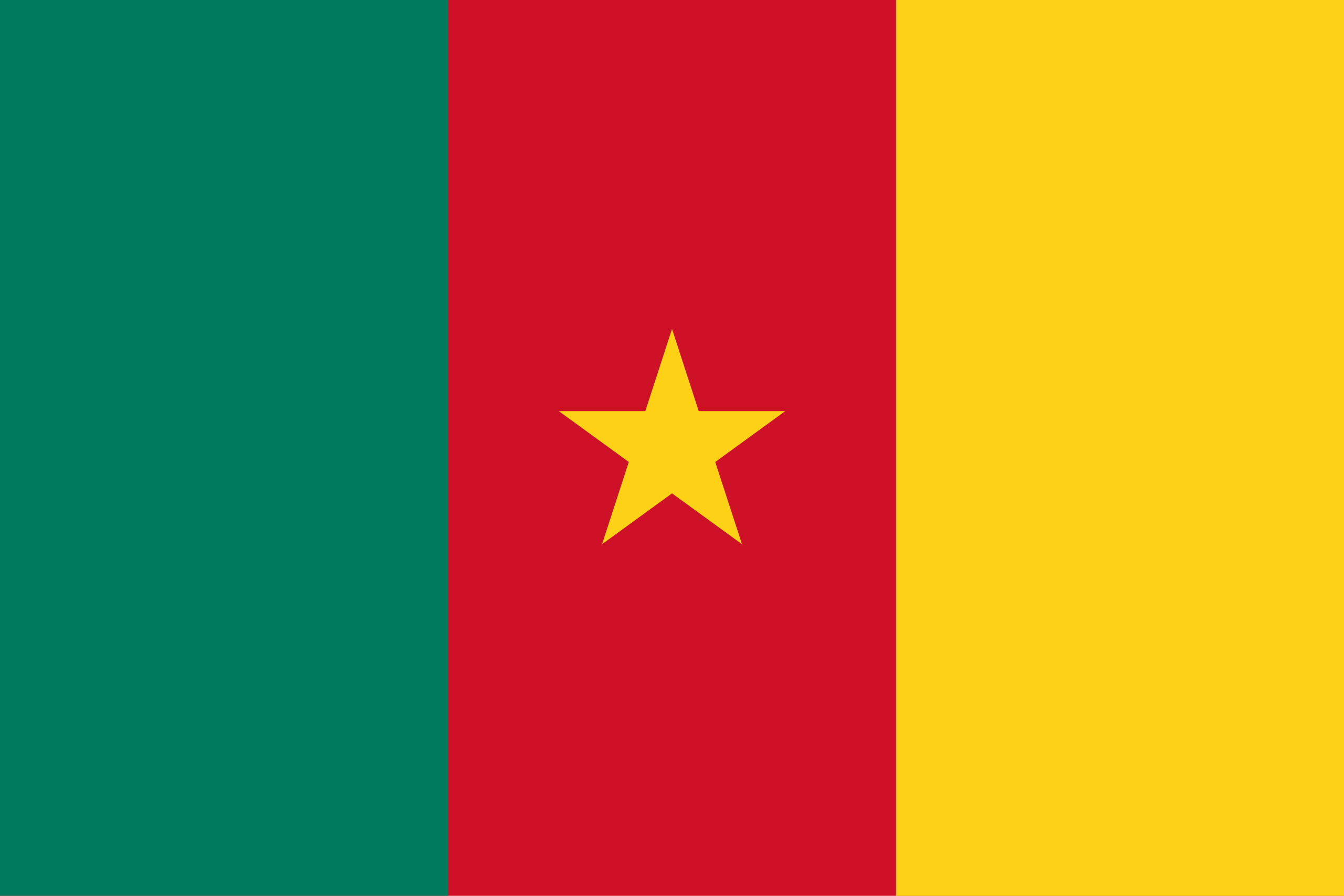 Bandiera di Cameroon
