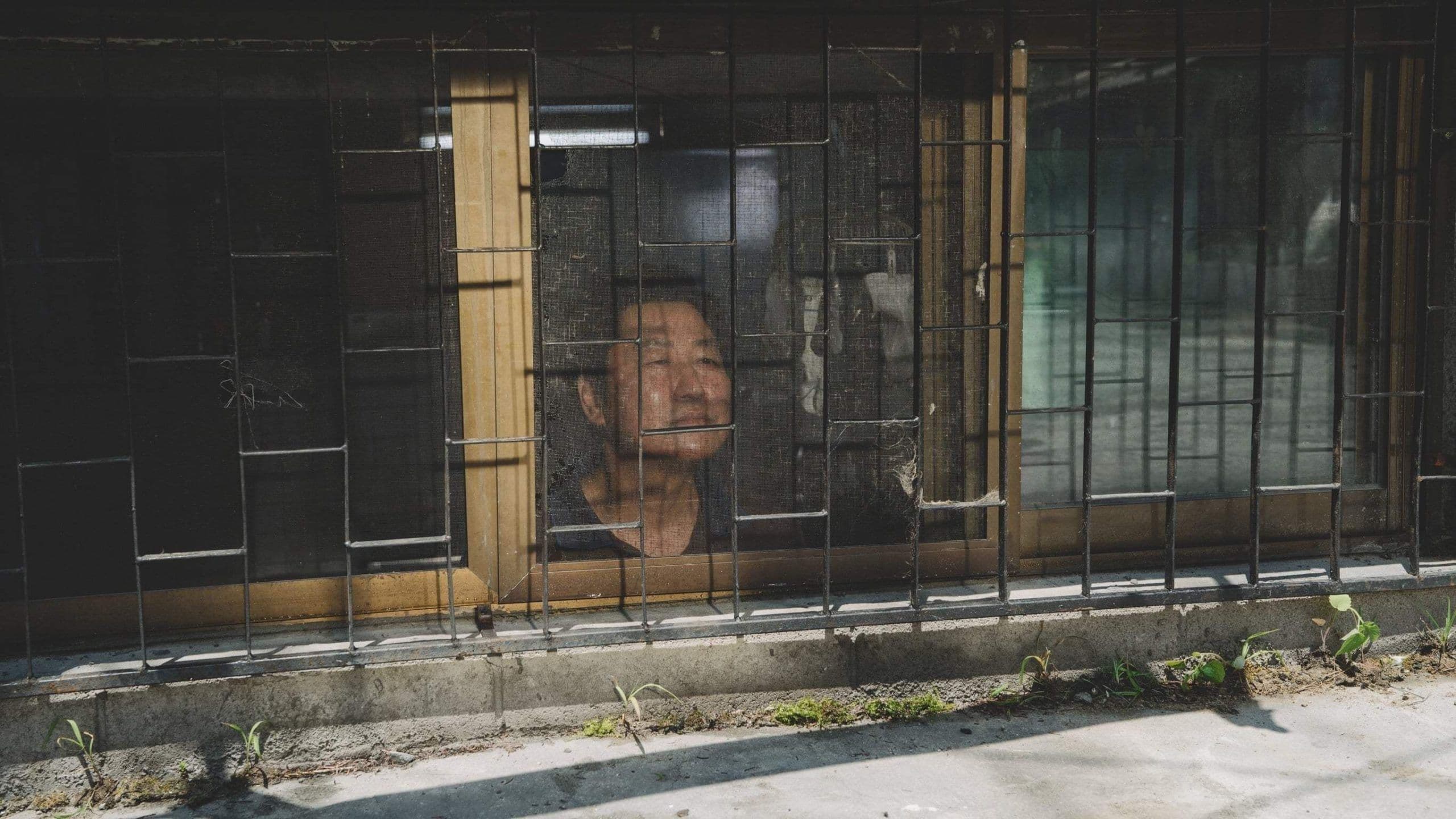 Immagine della galleria 5