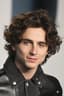 Foto di Timothée Chalamet