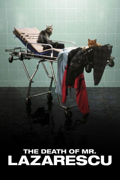 Poster for The Death of Mr. Lazarescu